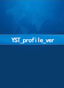 YST_profile_ver.01